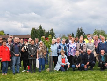 Gruppenfoto der Teilnehmer des Friedenscamps vor dem Kirschbaum des Ständigen forums der Europäischen Linken der Regionen