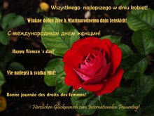 Eine rote Rose mit dem Text „Herzlichen Glückwunsch zum internationalen Frauentag!“ in verschiedenen Sprachen