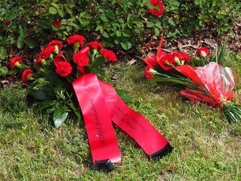 Blumengebinde aus roten Nelken mit Schleife:„DIE LINKE. Brandenburg - Nie wieder Faschismus - Nie wieder Krieg!“